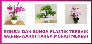 rekomendasi bonsai plastik