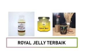royal jelly terbaik