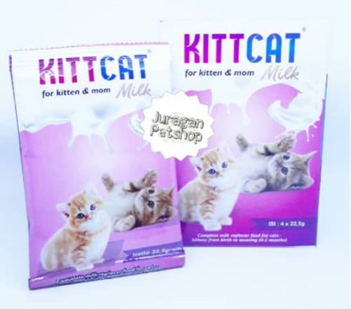 Susu Kucing Kittcat