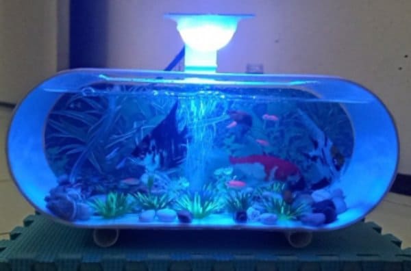 Aquarium Mini PVC Plus Pompa Aerator dan Lampu LED