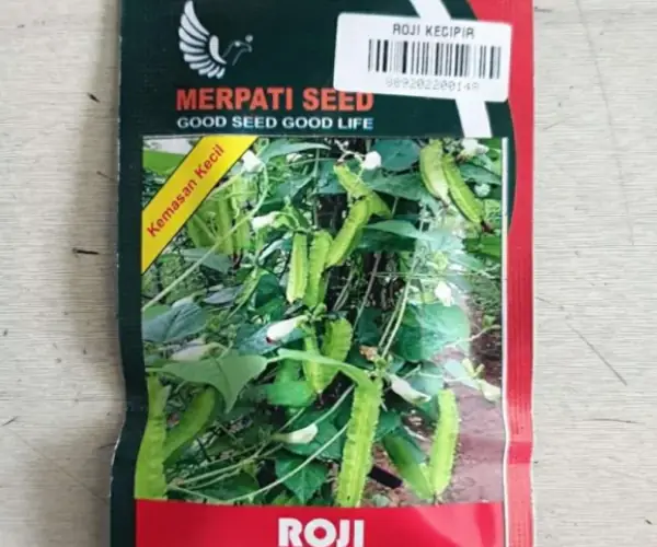 benih kecipir roji merpati seeds