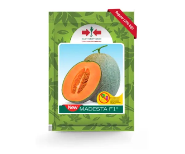 benih melon madesta f1