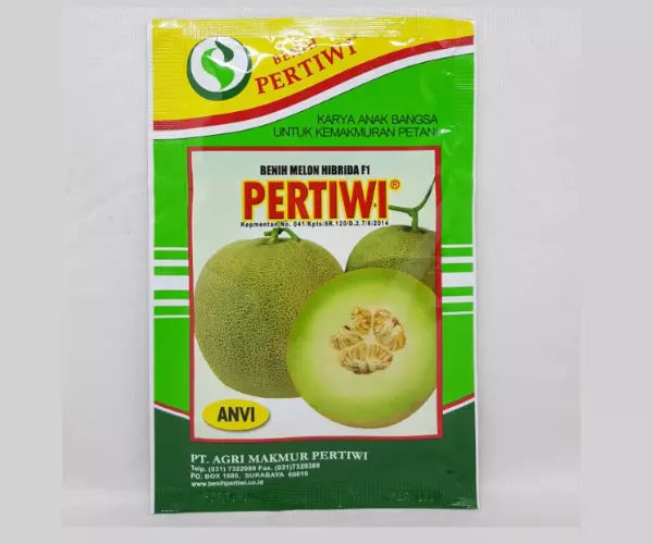 benih-melon-pertiwi-anvi