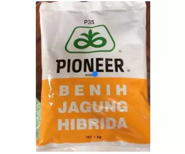 benih-jagung-pioneer-p35