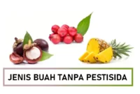 jenis buah tanpa pestisida