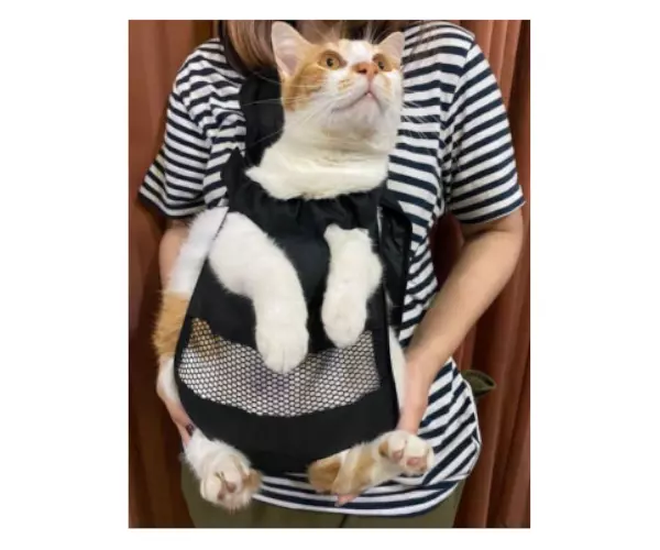 tas untuk kucing