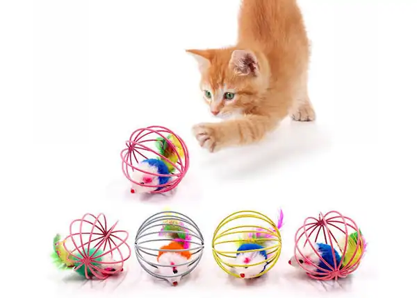 perlengkapan mainan untuk kucing