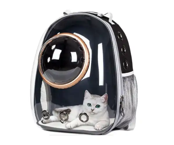 perlengkapan kucing tas 