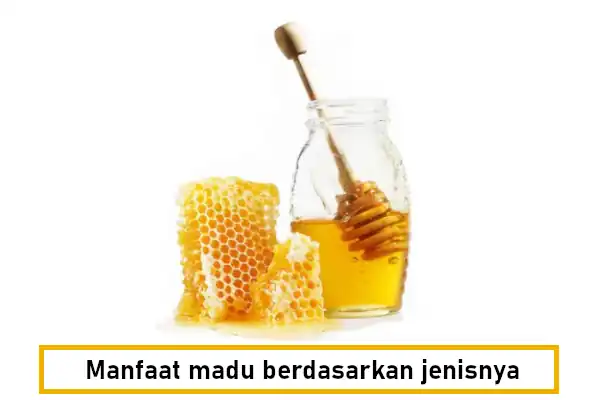manfaat madu untuk anak dan dewasa