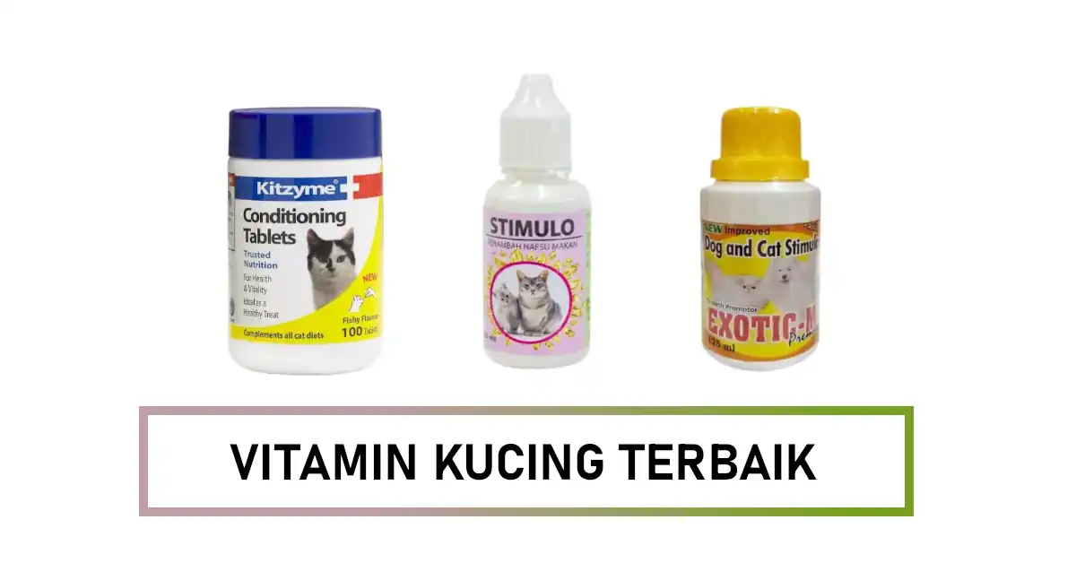 vitamin kucing yang bagus
