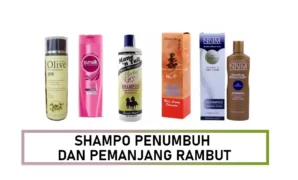 shampo pemanjang rambut