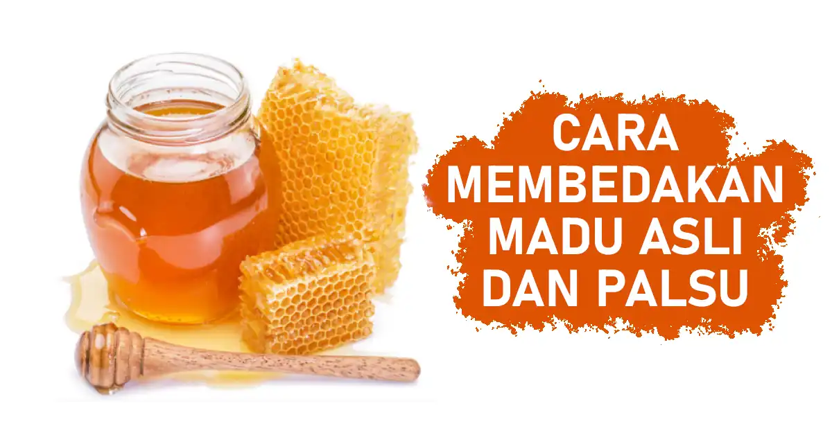 cara membedakan madu asli dan palsu